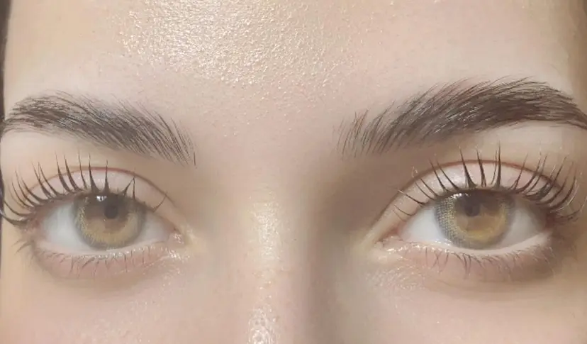 小顔eyelash MORENAの掲載