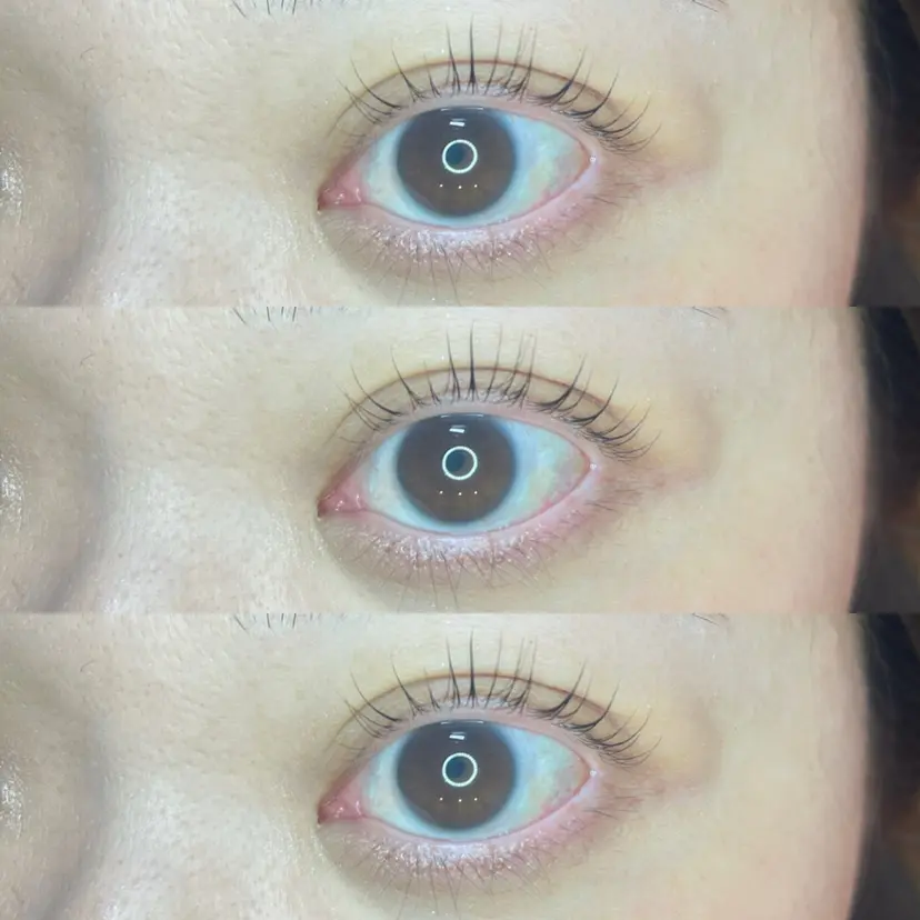 地村 まおの掲載