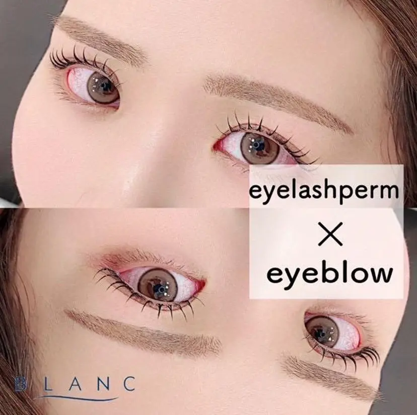 藤井 美穂の掲載