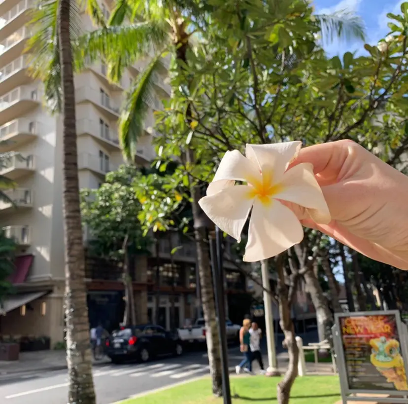 斉喜 明音の掲載