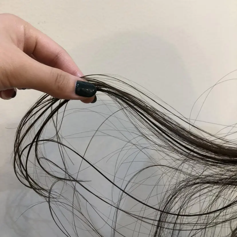 山口 朔弥の掲載