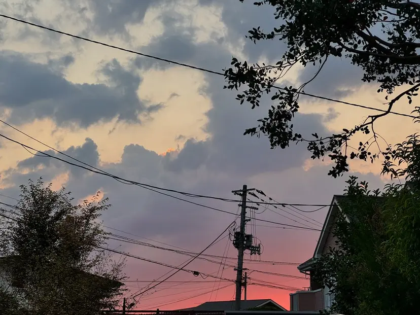 まなか ︎︎☁の掲載