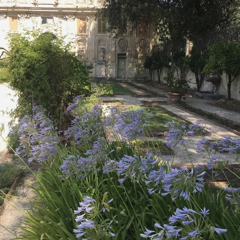 透明感カラー/ナナミ 💛の掲載