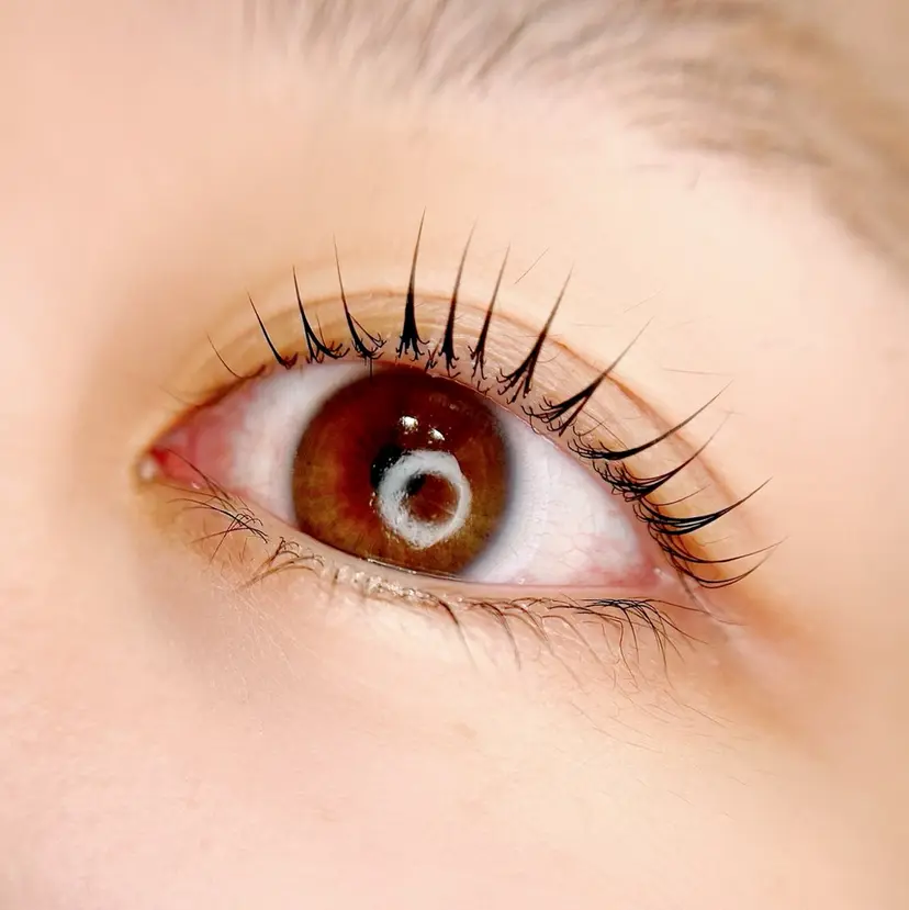 Lignal. miyuの掲載