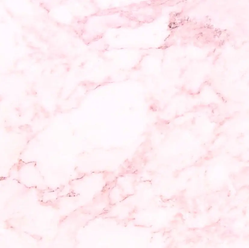 kinu Rabbit+の掲載