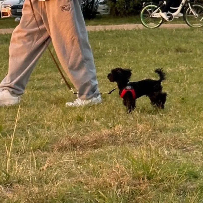 MAQUIA秋田店 佐藤の掲載