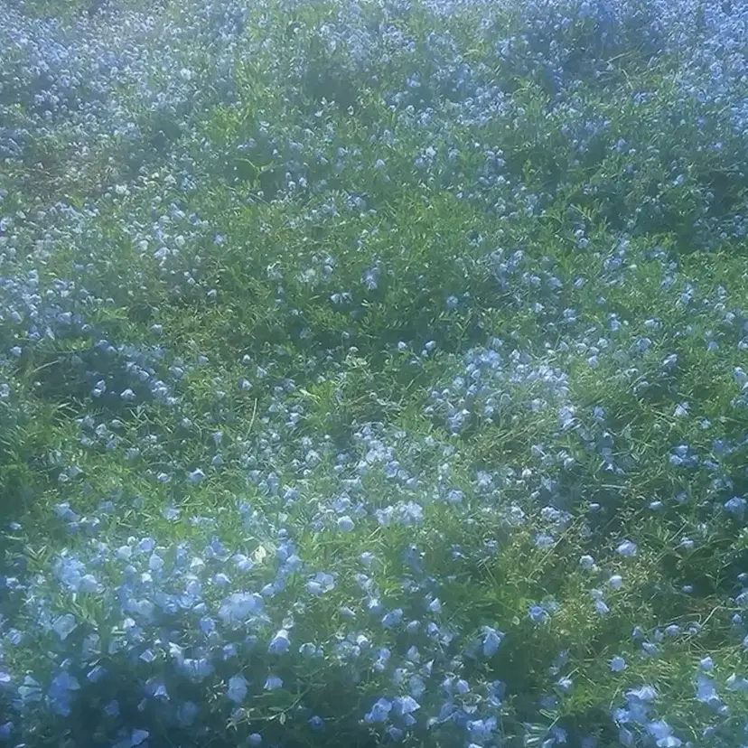 みな /天王寺/艶カラーの掲載