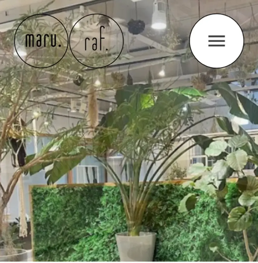 照井 由香理の掲載