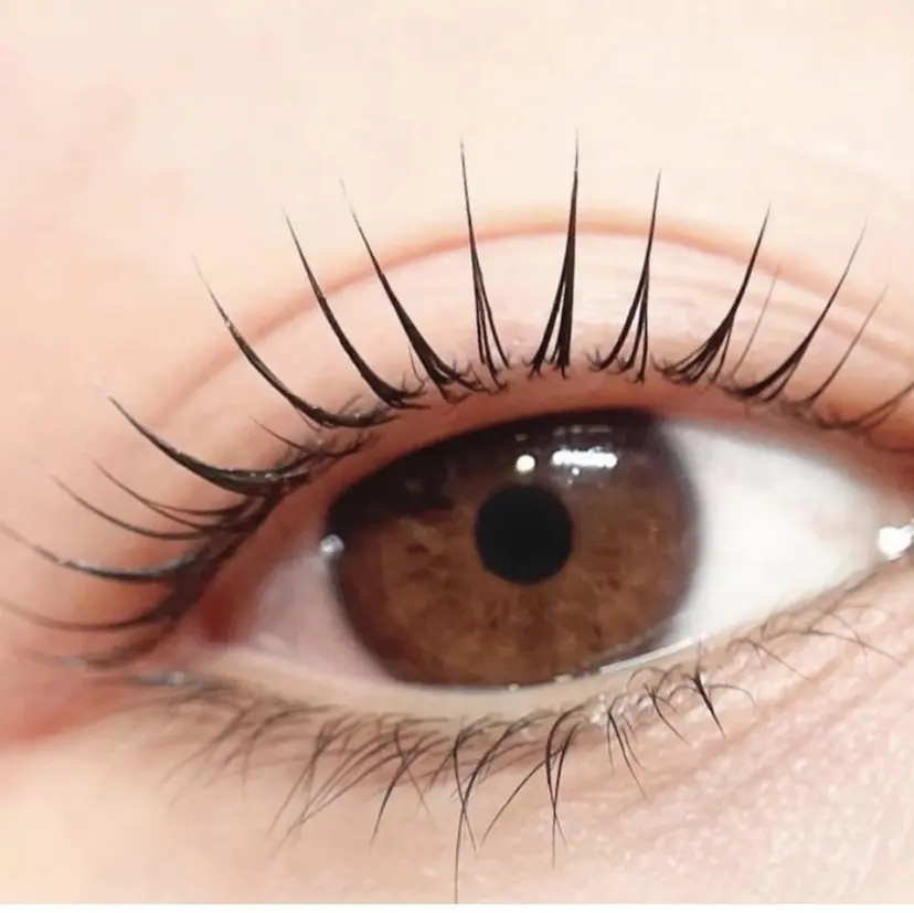 閉店 しましたの掲載