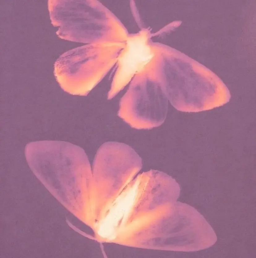 fein. nodoka✮の掲載