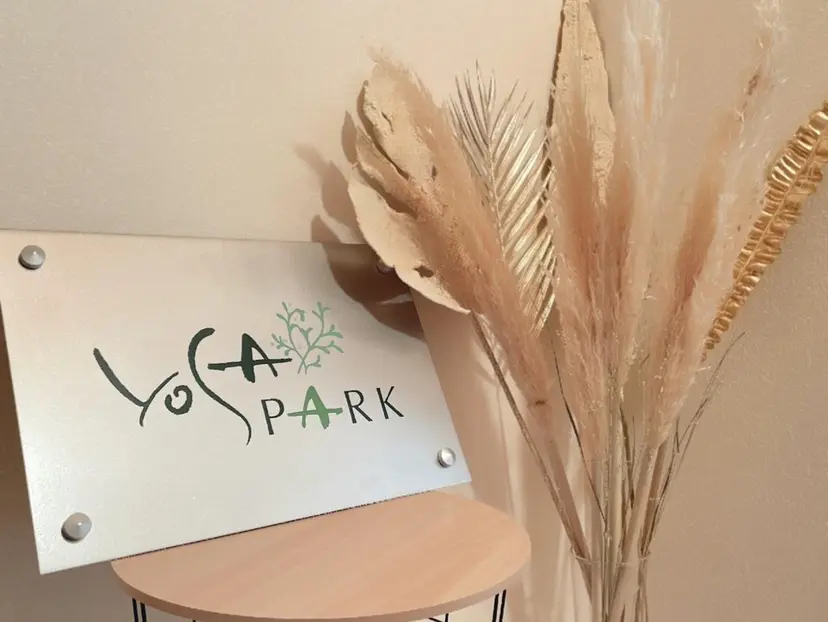 YOSA PARK scintillerの掲載