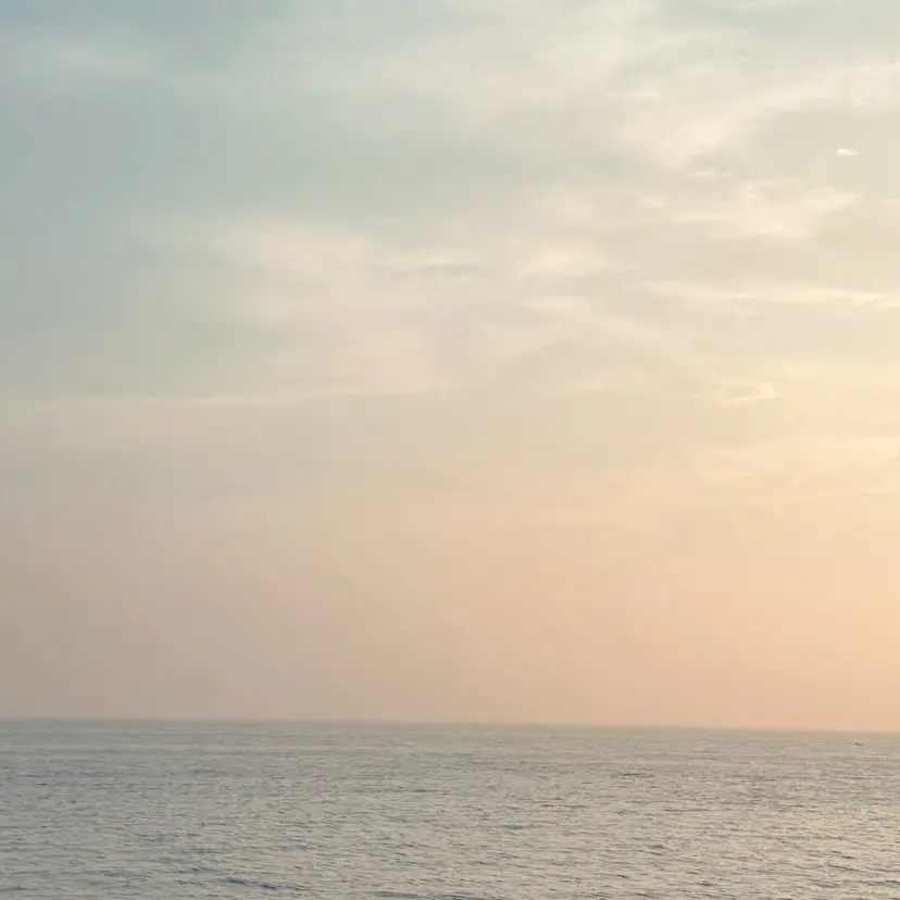 中根 亜莉紗の掲載