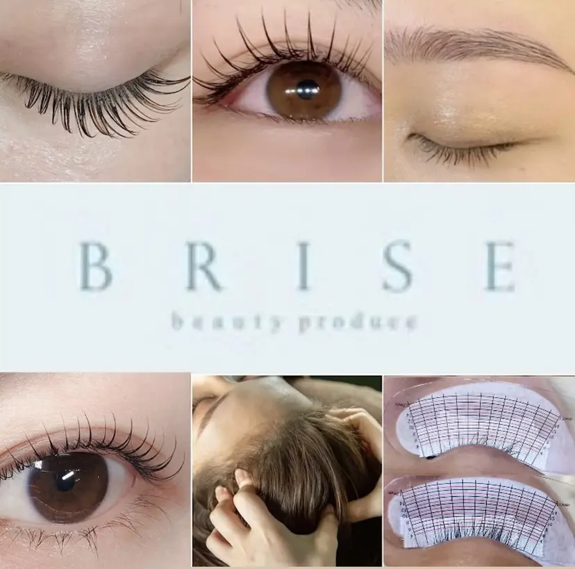 BRISE erikaの掲載