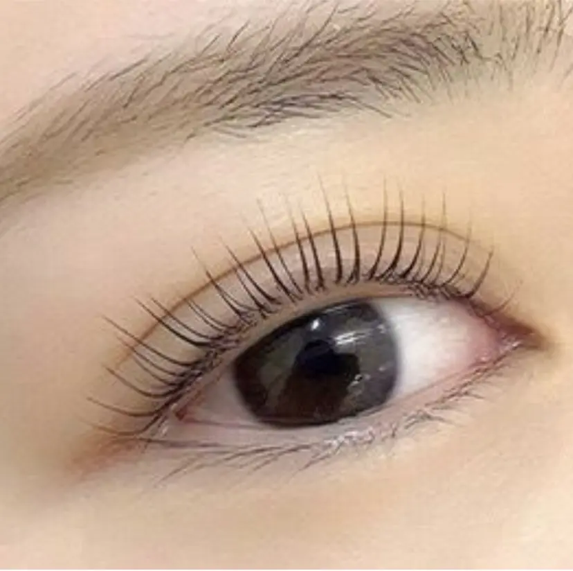 マリーテレジア SASAKIの掲載