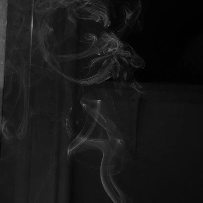 【clan】 🩶To-iの掲載