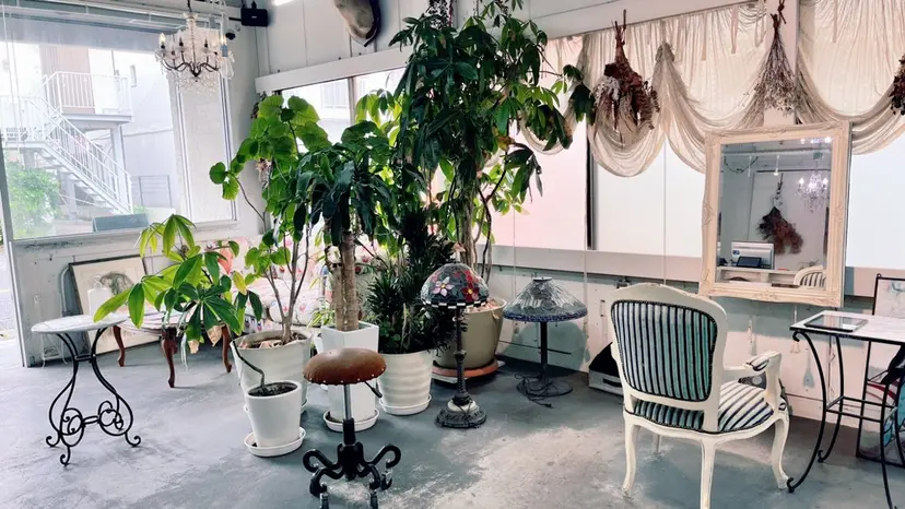 sena 《Mariana》の掲載