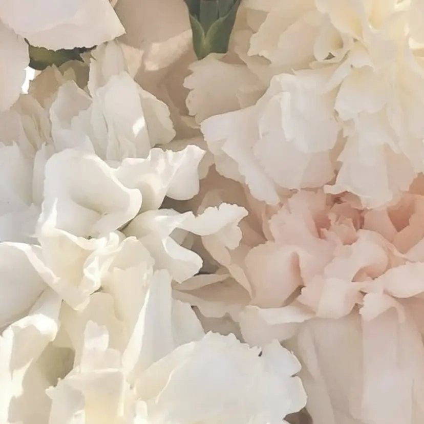 ﾌｪﾐﾆﾝ/ｶﾞｰ ﾘｰ🤍hiyo🎀の掲載