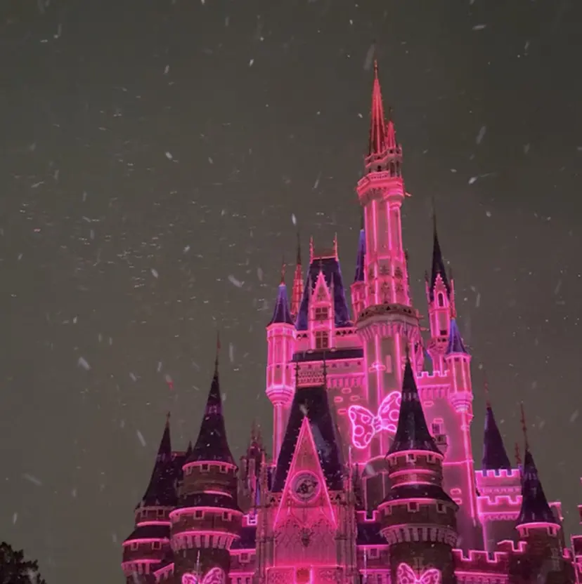 中村 美保の掲載