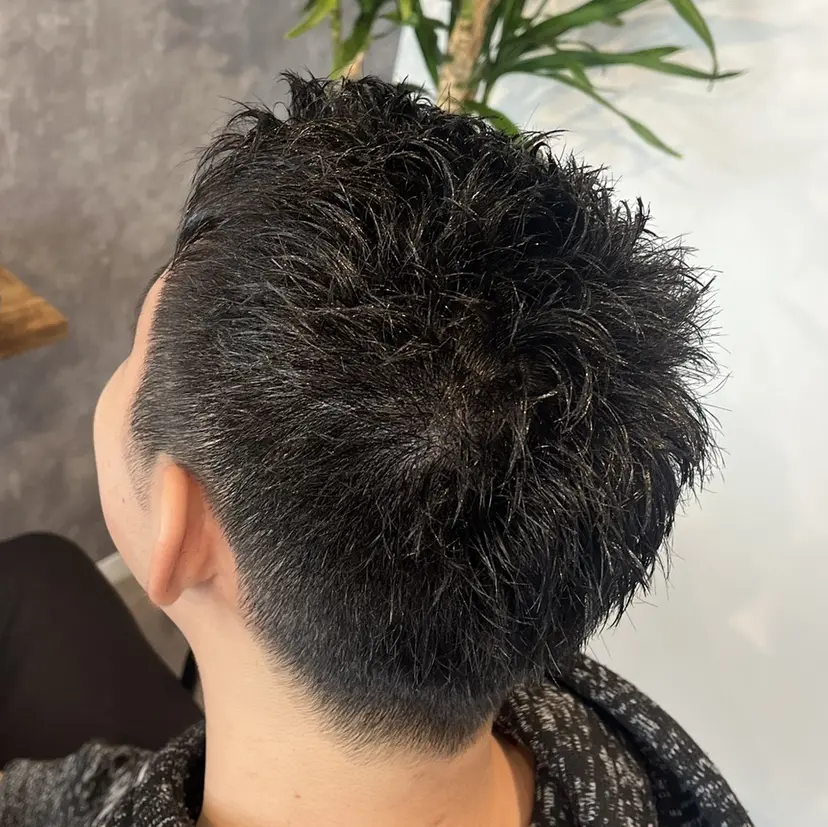 藤井 玉惠の掲載