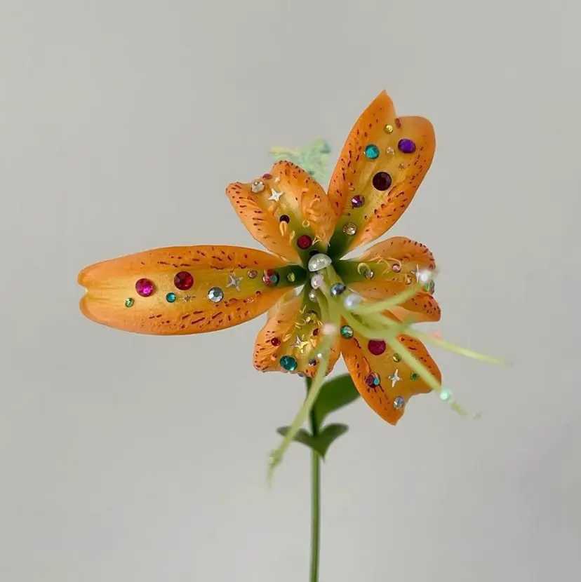 古川 杏果の掲載