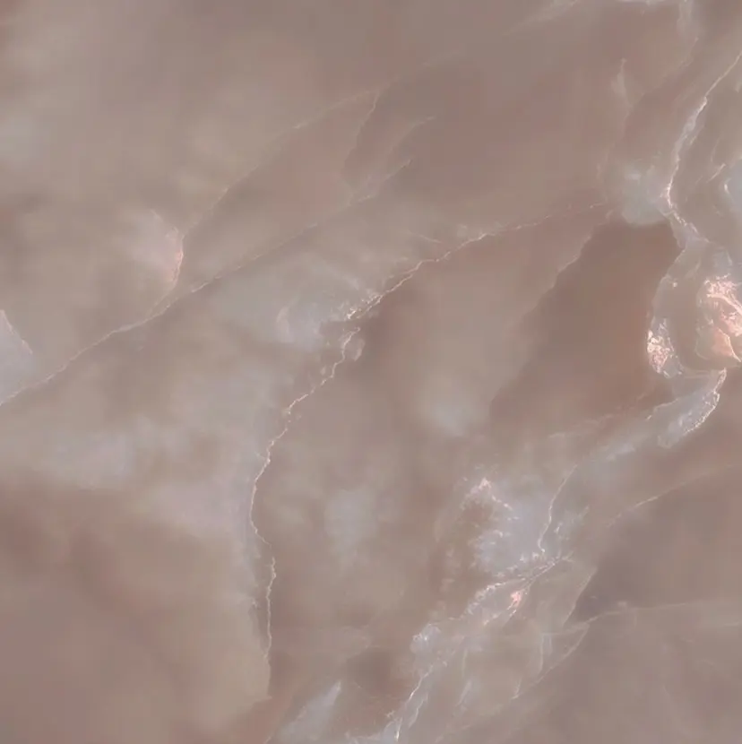 岩下 凜香の掲載