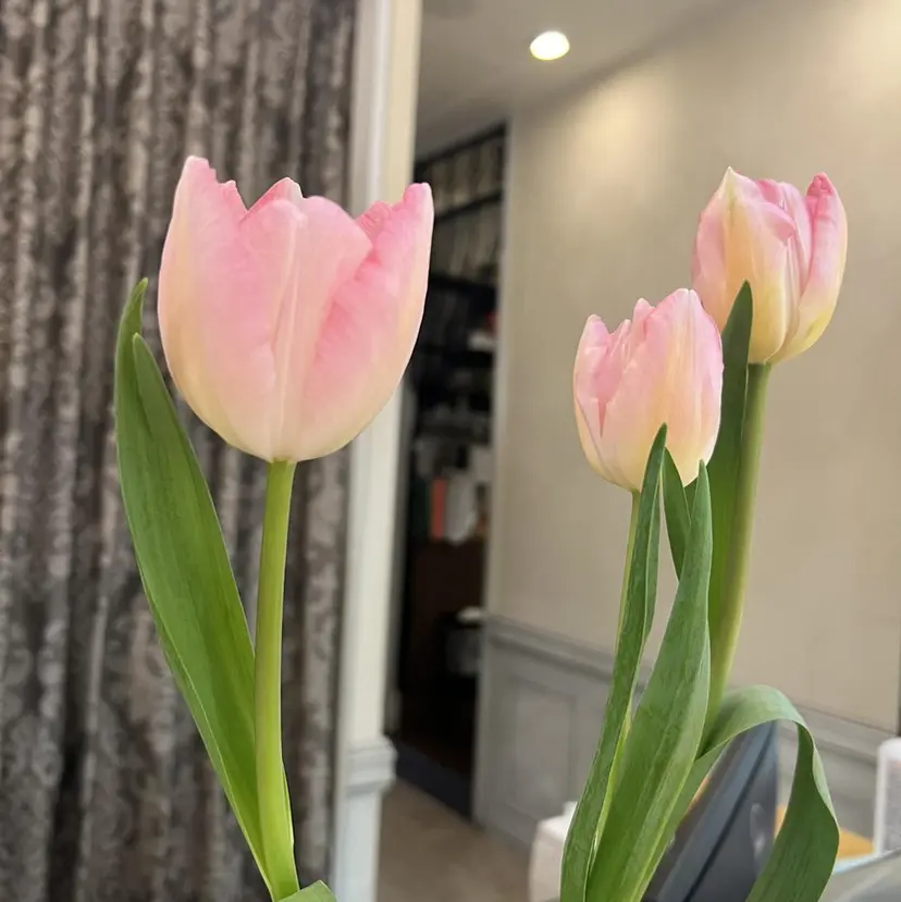 ミウラフウキ 髪質改善の掲載