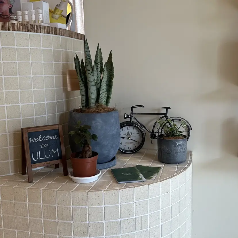 こがねざわみさき 🦭の掲載