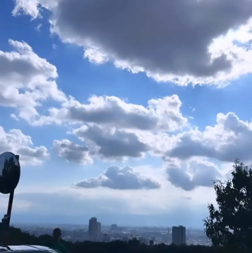 竹内 涼寧の掲載