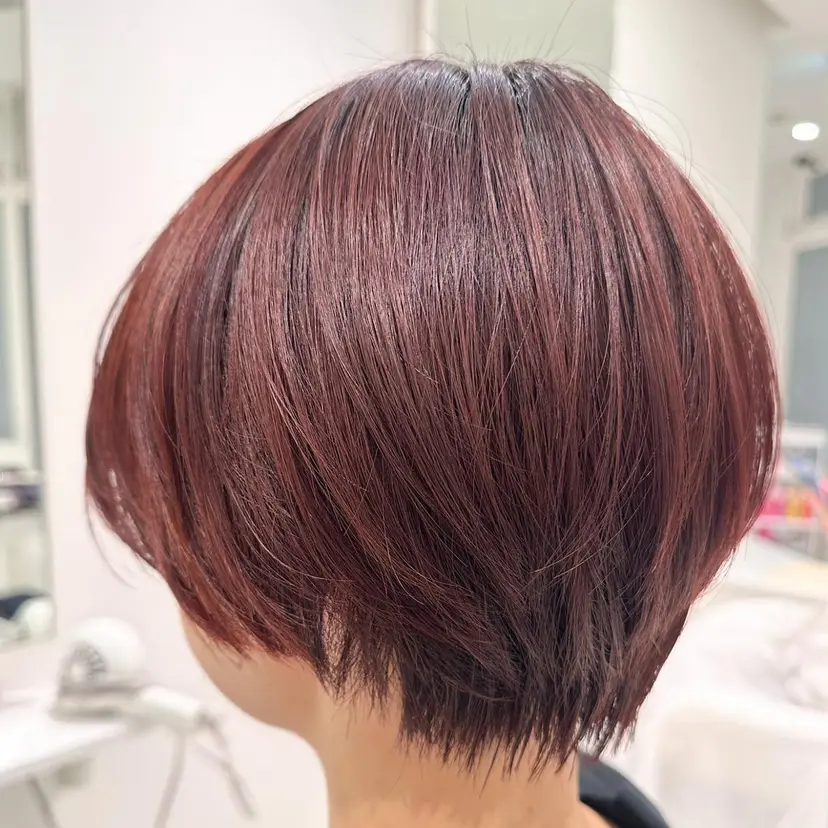 島守 桃香の掲載