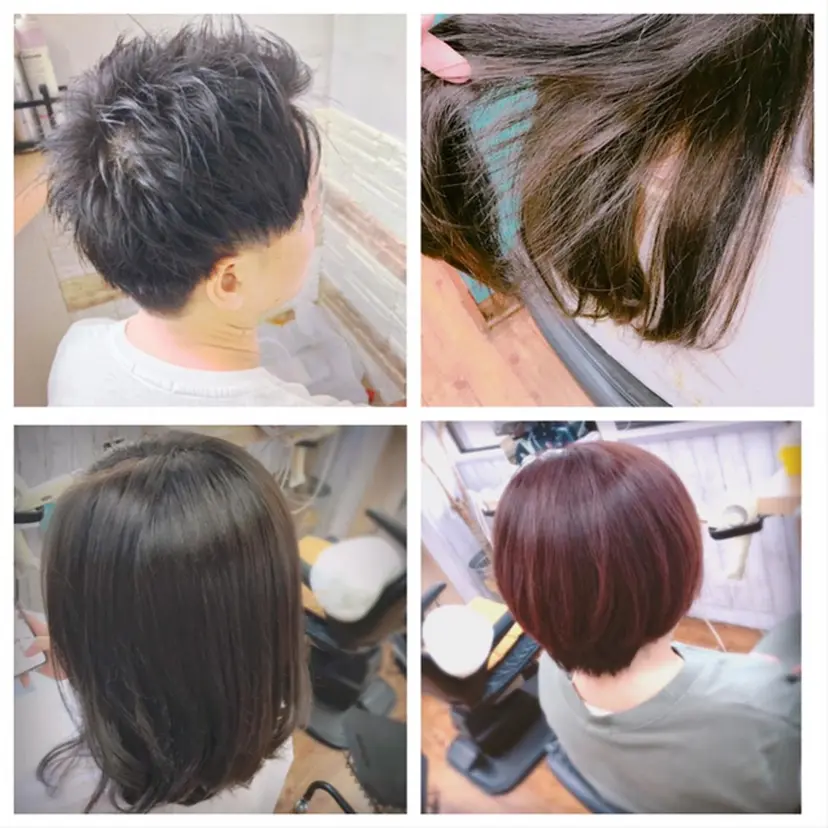 kimiwada maiの掲載