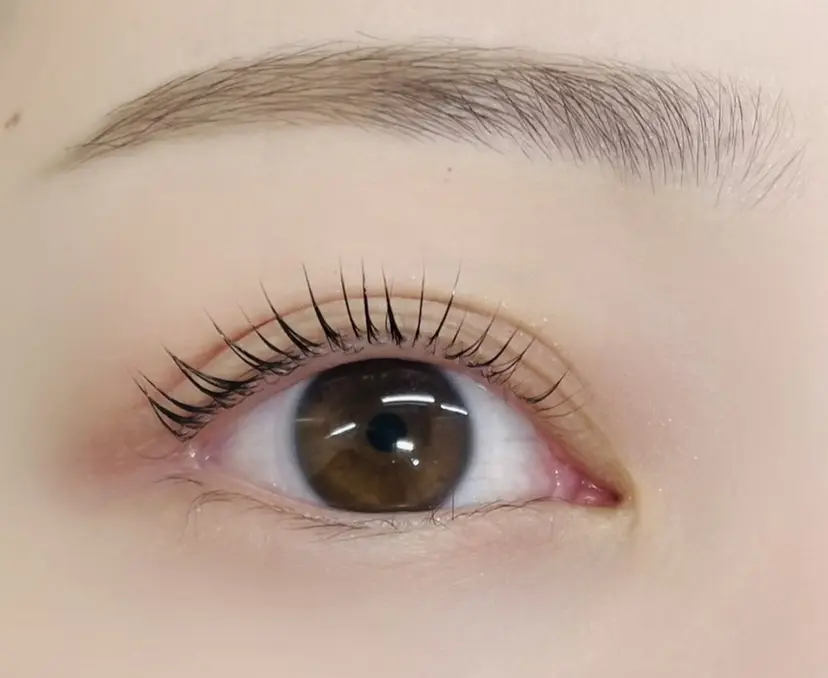 Holus Moriguchiの掲載