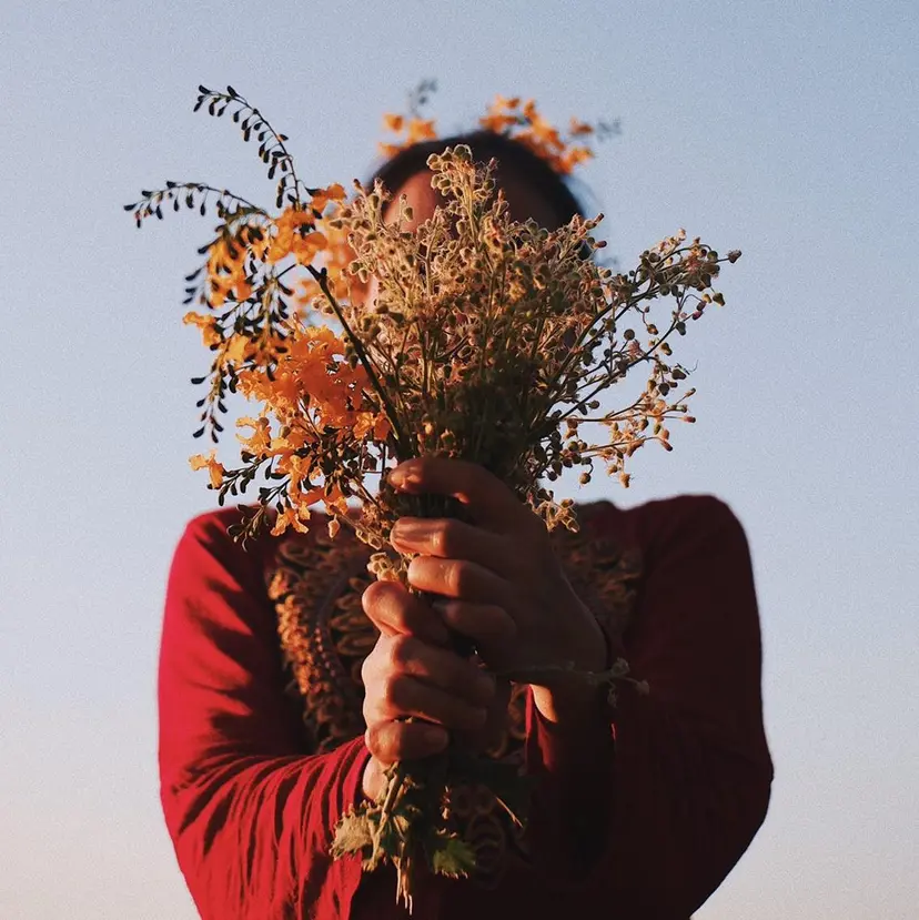 🐰 Nanami🎀の掲載