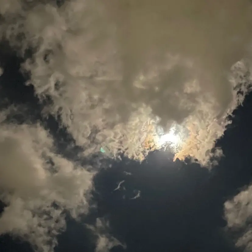 有賀 佑葵の掲載