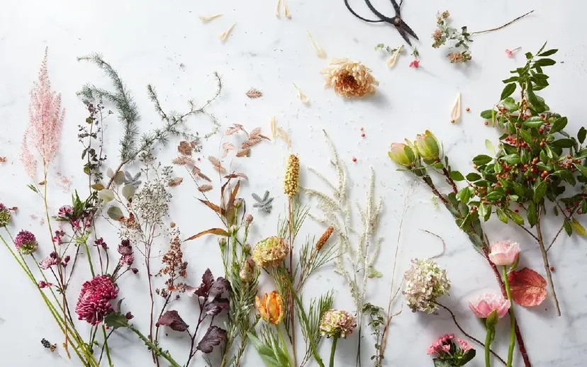 アロマとハーブエステ GARDENの掲載