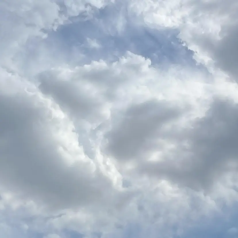 アートディレクター 尾内 友美の掲載