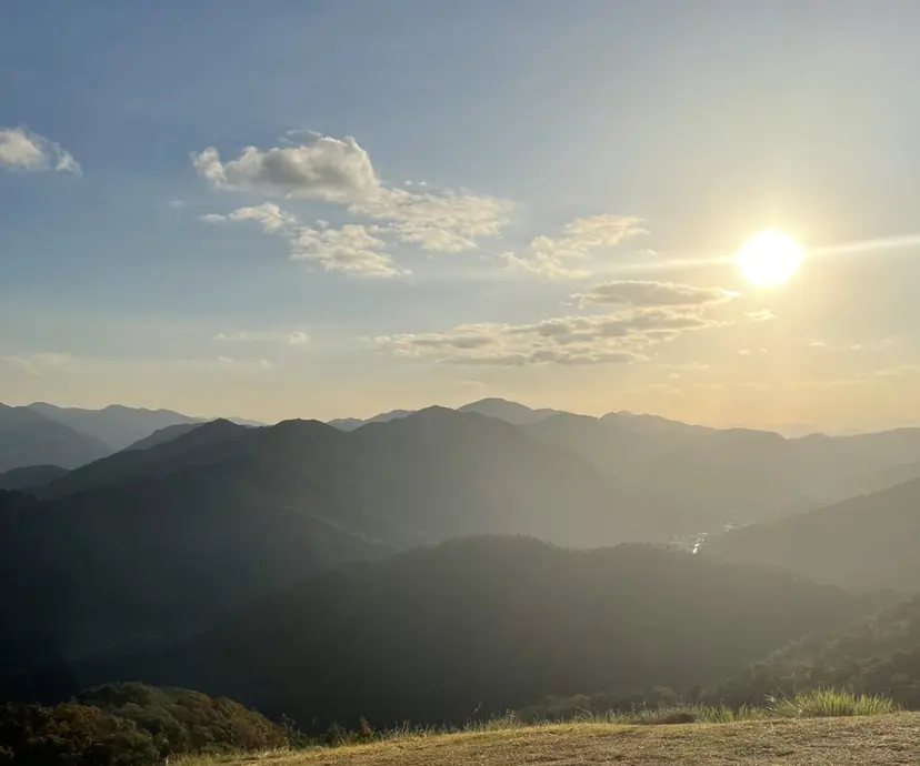 柏田 かりんの掲載