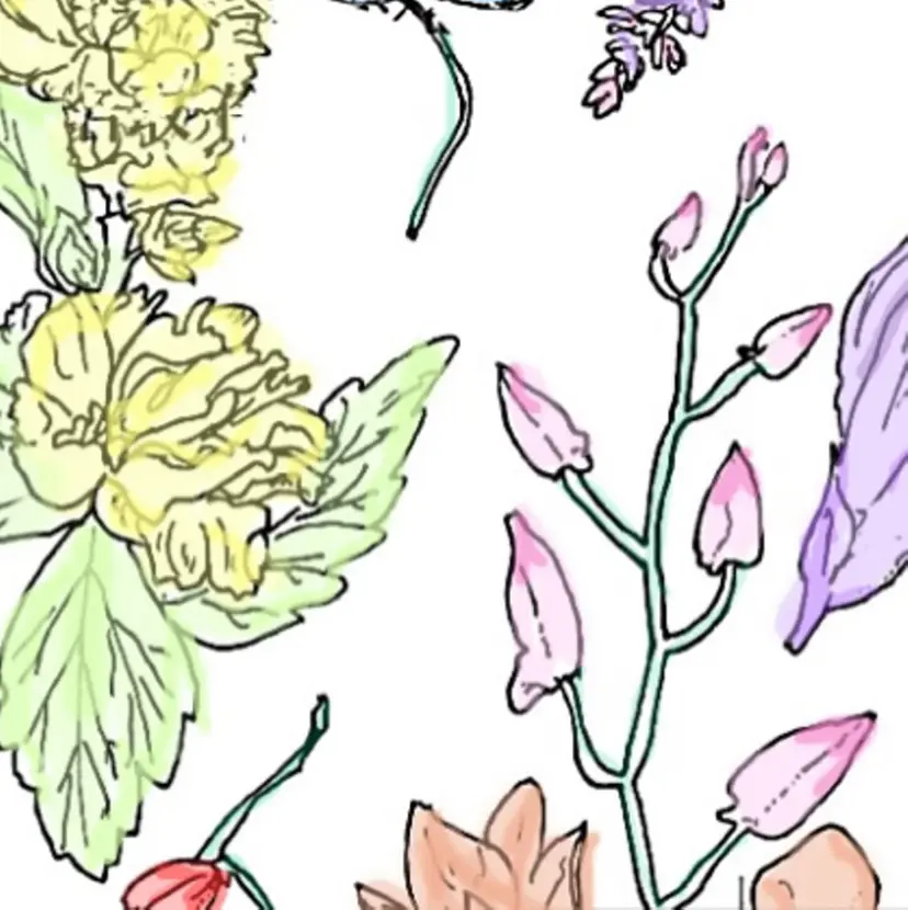 teatree.. REINAの掲載