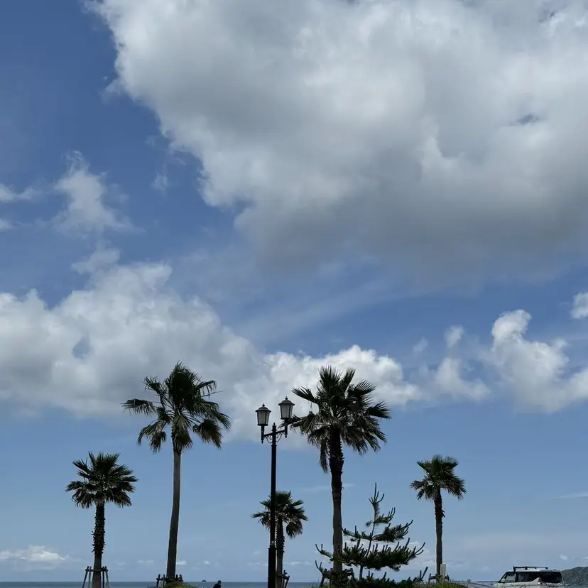 北島 菜々美の掲載