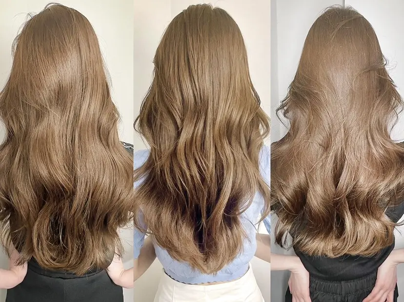 頓所 大昂の掲載