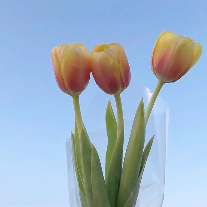 Bianca川口店 HIYAMA🍭の掲載