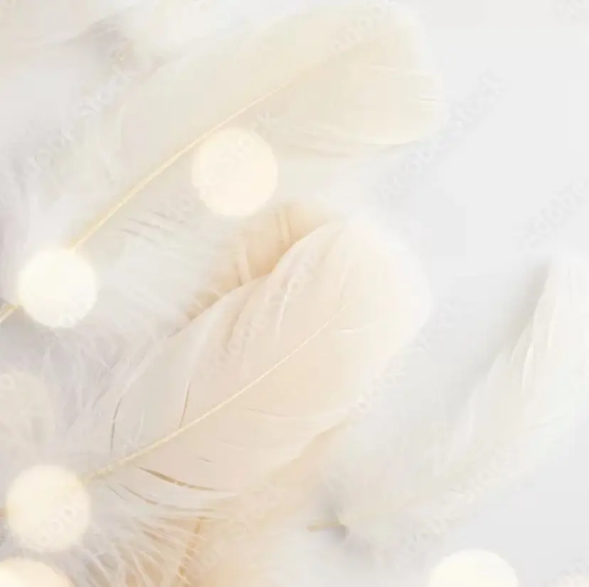 ベルフルール東札幌 🌼マイコの掲載