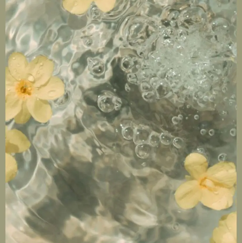 vico栄 kitagawaの掲載