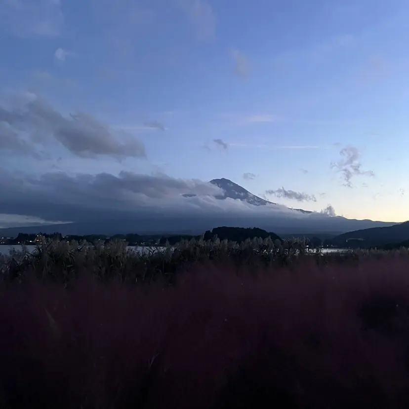 Arisa ‎𖤐 ̖́-‬の掲載