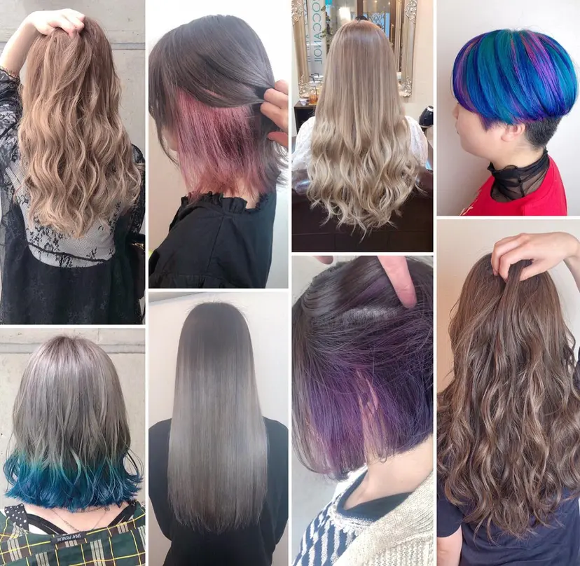 是枝 さくらの掲載