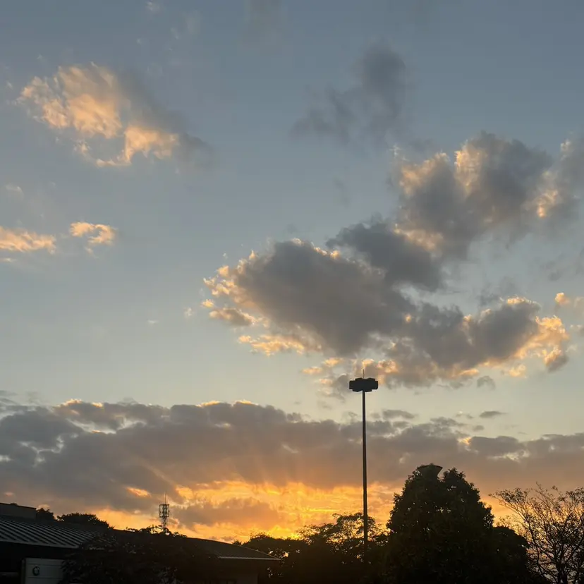 ririka 🍀の掲載