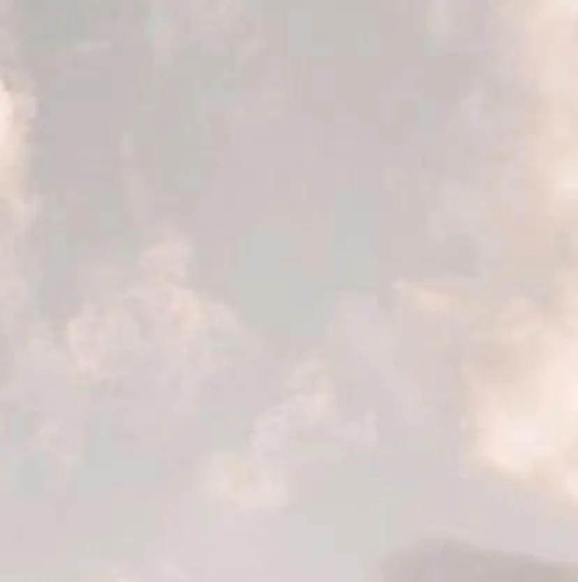 なわた さきの掲載