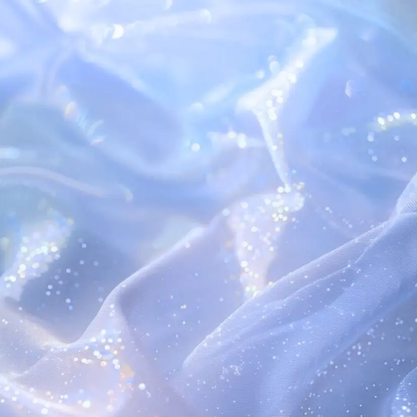 Noël 大城 🐾の掲載