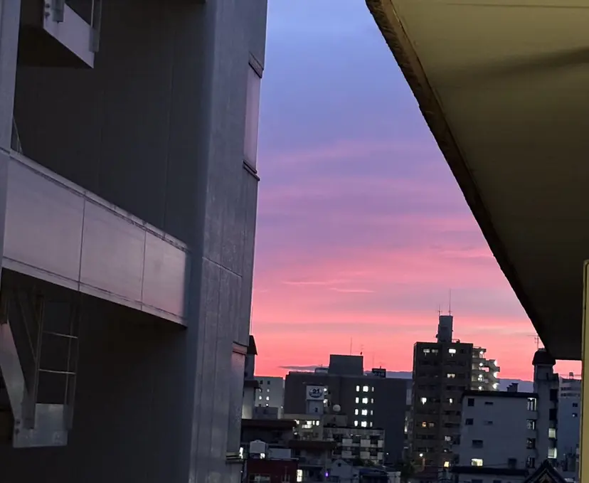 ［LUNA］EYE ⏾ EYEBROWの掲載