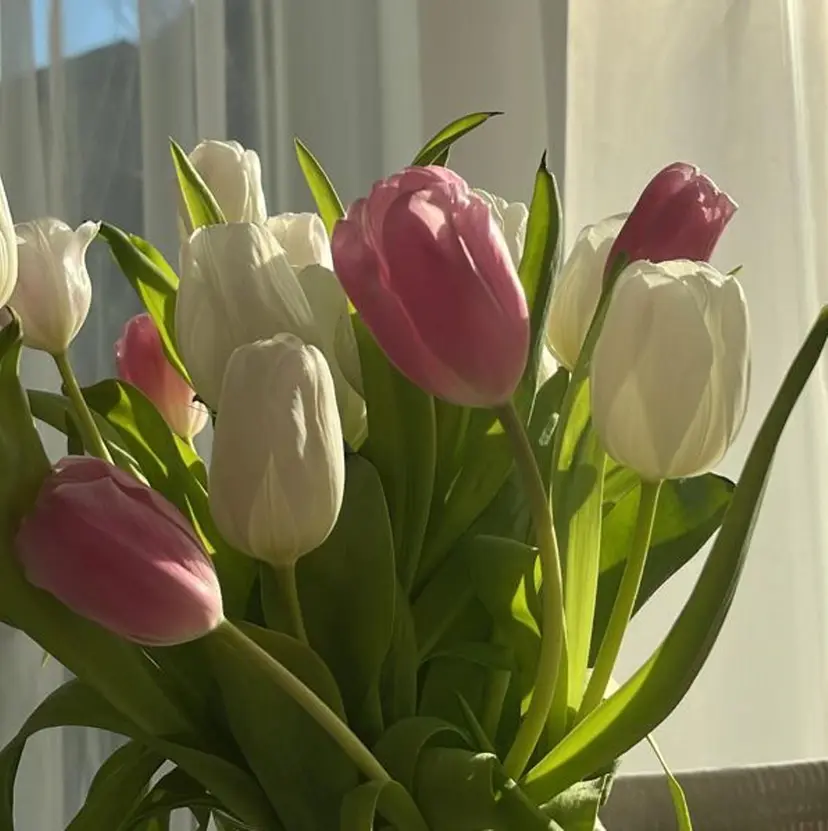 透明感抜群カラー mai🍑♡の掲載