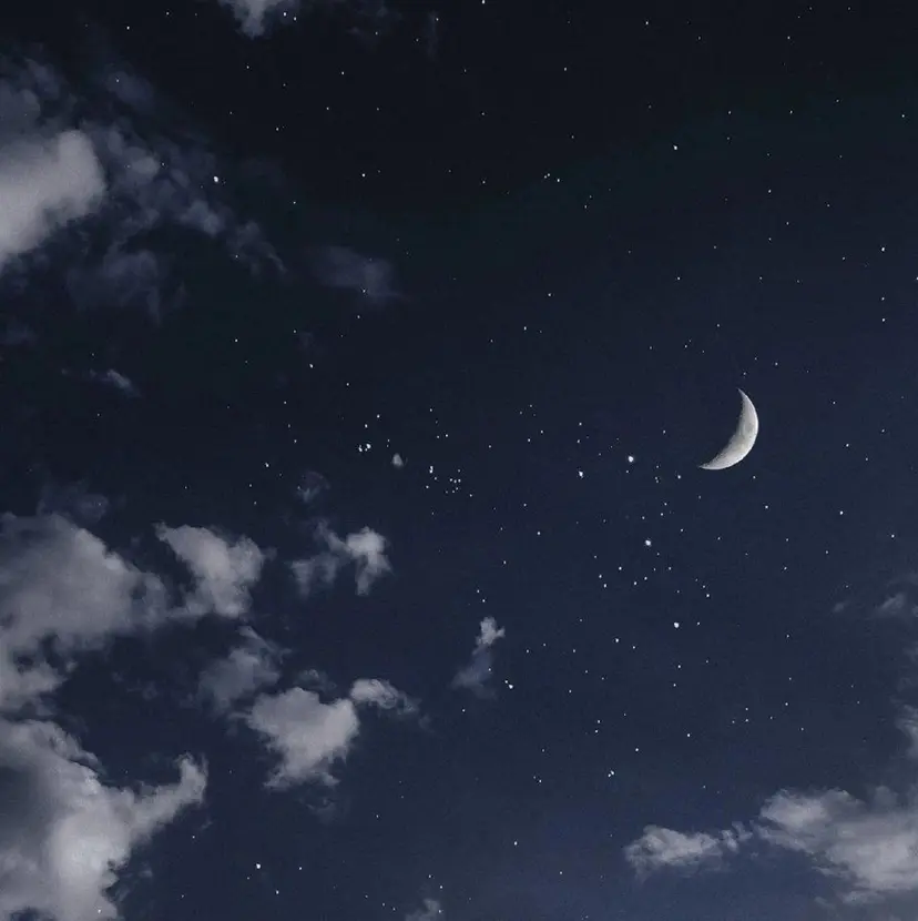 Luxxe_nu.浅 岡の掲載